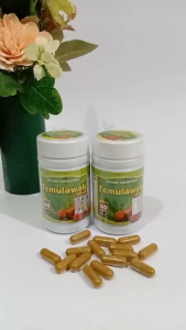 TEMULAWAK 60 Kapsul Herbal Kesehatan Hati Liver