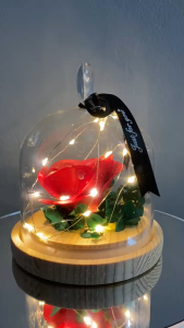 Everlasting Rose Flower LED Light Gift for Birthday Valentines Day Gift for girls Room Decorations - Lampu Hias Romantis ala Beauty and The Beast cocok untuk hadiah ulang tahun anniversary couple