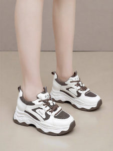 Josiny | Thick Sole Light Weight Mesh Dad Shoes Women