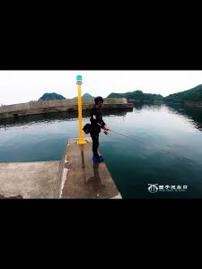 Tailwalk | Squid Fishing Rod for Boat Casting