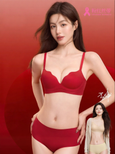 Secret World | Red Underwear Set Gathering Small Bust Wedding Gift Box