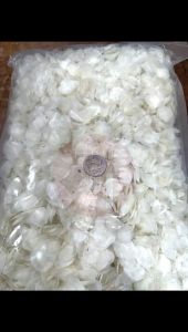 Sisik Ikan Siakap(Keping Sederhana)500gm-1kg/鱼鳞片#石甲鱼#中小片500gm-1kg/pkt/ Seabass Fish Scales