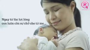 Tinh Dầu Tràm Huế Hồng Tâm Nguyên Chất Dùng Cho Mẹ Và Bé I Giữ ấm cho bé I Thơm Phòng I Đuổi Muỗi (100ml)