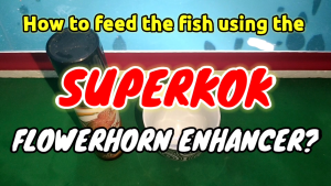 Superkok MARS Flowerhorn Enhancer 100ml For Red-Colored Fishes
