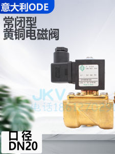 Brass Threaded Port Normally Closed Electromagnetic Valve DC24V AC220V Two-Way Operation Italian ODE 21H9KB180 for Hardware Tools