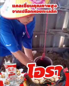 โอรา (ชุด 2 ถุง) แคลเซียมสำหรับไก่ไข่และสัตว์ปีก ทะเลลึก คุณภาพสูง