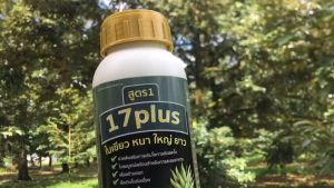 17 Plus ของแท้ ใบหนา เขียวเข้ม สะสมอาหาร ดอกดก ลูกดก 1ขวด