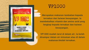 VP1000 Chicken Vitamins & Amino Acids Water Soluble Powder as Nutritional Supplement Ubat Ayam Itik