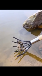 39cm Heavy Duty Clam Rake with Mesh Net Basket & Wooden Handle