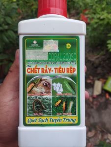 Trừ tuyến trùng sâu rệp sáp dạng sữa