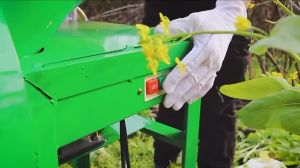 Chopper Napier Rumput grass cutter machine Chopper Napier Rumput 2200w Agricultural material shredders Mini Leaf Chopper Mesin chopper rumput ternakan grass leaf