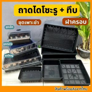 ถาดไดโซะ ถาดทึบ ถาดรู ถูกที่สุด - ถูกประทานและถูกที่สุดของปลอดภัย