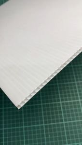 5mm thk PP Corrugated Board A1 Size x 2pcs / PP Hollow Straw Board / PP Hollow Board / Plastic Board/ Polyplast / Flute / Impra Board / Stationery / Art Living White 594mm x 841mm
