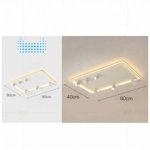 New Modern Elegant Ceiling Light for Young Adults