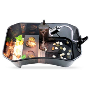 Malaysia Delivery Reptile Turtle Tortoise Vivarium Box Aquarium Tank with Basking Ramp