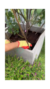 ถุงมือกันบาด ถุงมือกันลื่น ถุงมือทําครัว