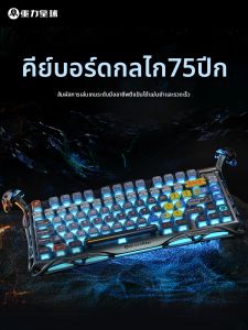 Gravastar | Bộ Bàn Phím Cơ và Chuột Chơi Game