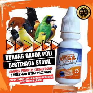 Vitamin Gacor 3 Tetes Poll MURAI BATU