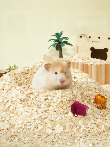 TIYES | Vật Liệu Đệm Loại Bỏ Mùi Cho Chuột Hamster