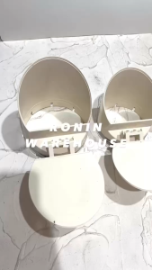 SOLIGEN Back Flow Valve PVC Klep Tabok Saluran Pipa Air 25 3 4 5 inch