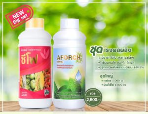 ปูน้ำซีซี - 1 ปู (ชุด 1) - ลิตร 1000ml - น้ำตาลเพิ่มของผลไม้ดอก - บำรุงดอก - บำรุงผล - ร่งการเข้าสี