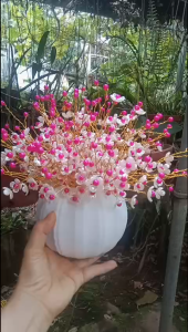 Chậu hoa handmade cao cấp