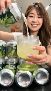 [Yi Zhi Bi] Laiyang Pear Juice Beverage 245ml x 20 Cans Singapore
