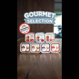 [NEW FLAVOUR] [Carton] ProBalance Gourmet Selection 900g Wet Dog Food - 100g x 9 (3 Flavours)