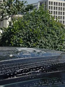 SunnyLife แปรงล้างรถมัลติฟังก์ชั่น ผ้าไมโครไฟเบอร์ ด้ามอลูมิเนียมอัลลอยด์ ขนาด 112ซม.