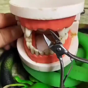 50g Temporary Tooth Repair Kit Teeth and Gaps Moldable DIY Temporary Tooth Gap Repair Kit