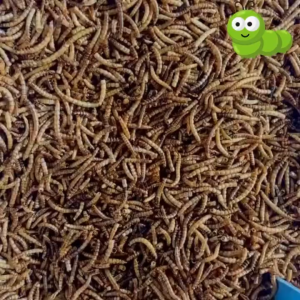 หนอนนกอบแห้ง Dried Mealworms 100กรัม500กรัม (แบ่งขาย)-เป็นอาหารเสริมโปรตีนสำหรับสัตว์เลี้ยง มีโปรตีนที่สูง