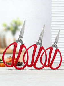 Zhang Xiaoquan | Stainless Steel Multi-Use Sharp Tip Scissors