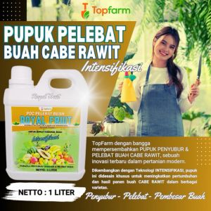 Pupuk Topfarm: Solusi Pupuk Cabe Rawit Anti Layu & Fusarium
