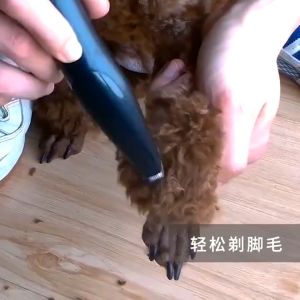 Pakeway Máy tỉa lông giảm tiếng ồn sạc USB (5V/1A) & đèn chiếu Cho Chó Mèo