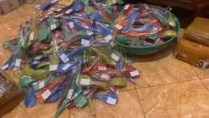 ( isi 50 pcs ) Souvenir CENTONG SENDOK NASI kemas PLASTIK Kartu Ucapan Suvenir Murah Makassar