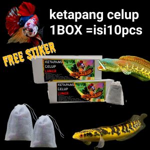 KETAPANG CELUP LUMER super pekat untuk channa dan ikan hias lainnya