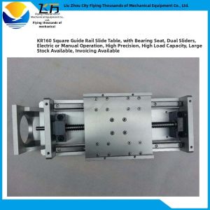 Rolling Straight Slide Module Dual Sliders with Bearing Block