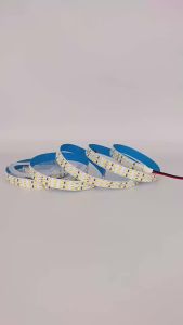 12V 24V LED Strip SMD 2835 5M LED Stripe Tape Light 240LED/M 480LED/M White Warm White Flexible Strip Ribbon Home Decor Light