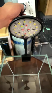 SG READY STOCK | USB 3 MODE + DIMMABLE OF CHANGING LIGHT Waterproof SMALL Aquarium Lamp 360 Degree Adjustable Fish Tank