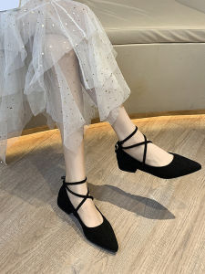 Spring Autumn 2025 Pointed Toe Shallow Mouth Single Shoes Sweet Fairy Style for Dresses Low Heel Womens Shoes Trendy Ins