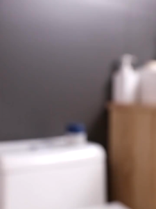 【Spot】Toilet Bowl Cleaner Toilet Freshener Cleaning Agent for Bathroom Odor Reduction with Plant Fragrance