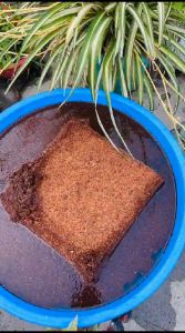 COCOPEAT BLOCK 5 kg mengembang 6x HALUS ALAMI | MEDIA TANAM ALAS SUBTRATE KANDANG REPTIL