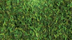 Solar Fountain Kit with Holder Glass Panel - No Battery DIY Small Solar Water Pump with Sucker Solar Fountain Pump for Bird Bath Hummingbird Water Feature Outdoor 9.84ft Power Cord-Black