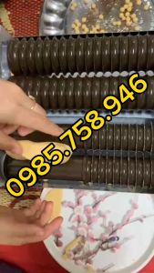 Máy vo viên trân châu thuốc đông y khuôn thép tráng men DZ20