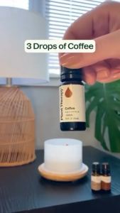 PLANT THERAPY Coffee Essential Oil (10ml/30ml)