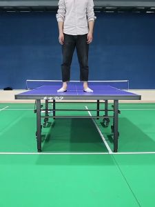 Standard table tennis table removable folding competition table indoor and outdoor ping sports and fitness equipment table tennis table