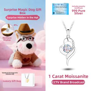 East Beauty | 999 Sterling Silver Moissanite Necklace for Women