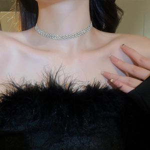 Simple Zircon Necklace & Korean Fashion: An Elegant Metal Neck Lace Clavicle Chain
