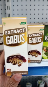 Ekstrak Ikan Gabus SYIFA BPOM 60 Kapsul - Kapsul Albumin Ikan Kutuk Gabus