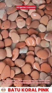 BATU KORAL PINK ECERAN 500 GRAM batu pink batu hias batu taman aquascape